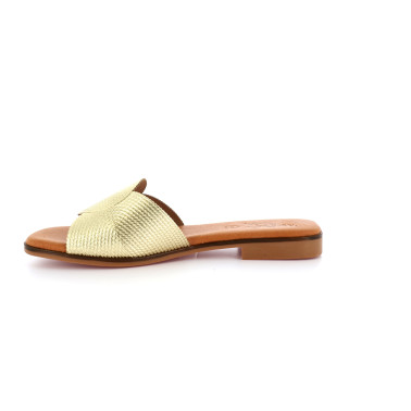 CARLAMOTY 35 41