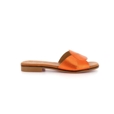 CARLAMOTY 35 41