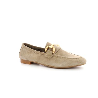 ABINA 36 41