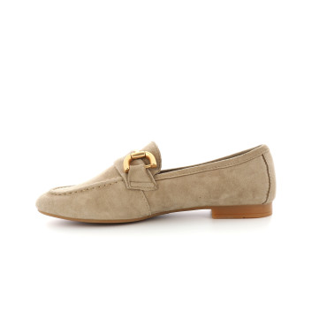 ABINA 36 41