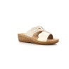 CLODIE 35 41