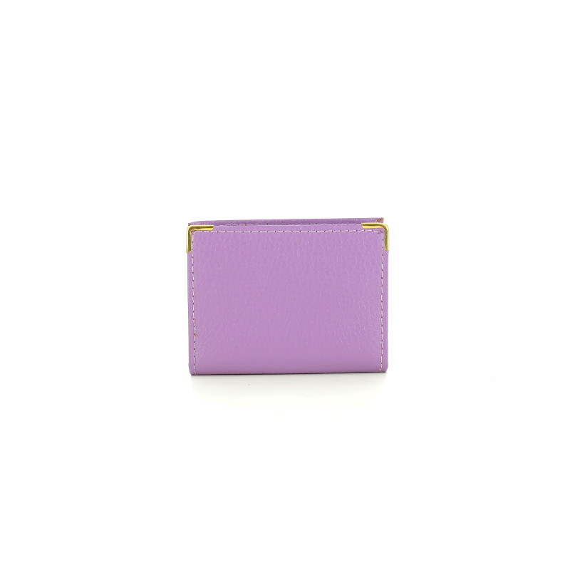 PORTE CARTE H23