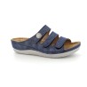 CATURE 36 41