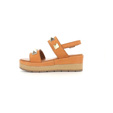 ELVIA 36 40
