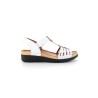 IZA E22 36 40