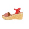 CARLADUO 36 40