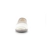 FEVACSO 36 41
