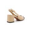 WENELLE  29618 36 41