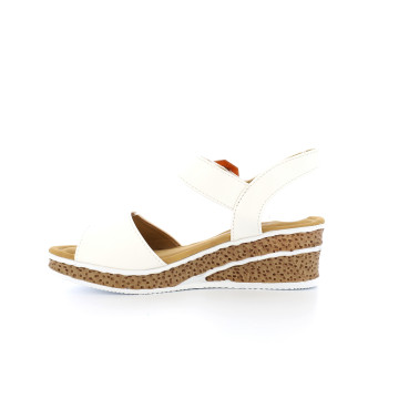 TEMPOULON 36 41