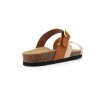 PALUNE 36 41