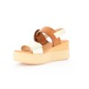 INGLO 36 40