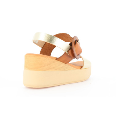INGLO 36 40