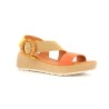 ROSEA 36 41
