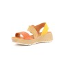 ROSEA 36 41