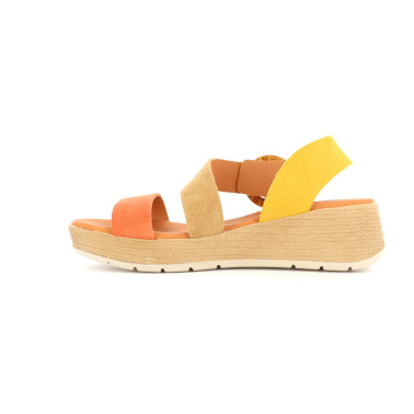 ROSEA 36 41