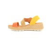 ROSEA 36 41