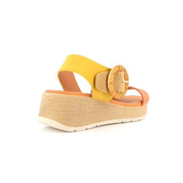 ROSEA 36 41
