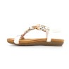 TEMPALY 36 41