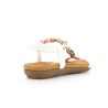 TEMPALY 36 41