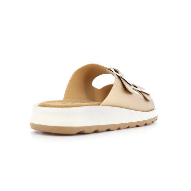 PANON 36 41
