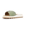 PATEUR 36 41