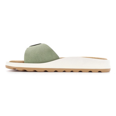 PATEUR 36 41