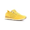 WENSMITH 23781 E24 36 41