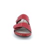 PATIS E23 36 41