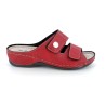 PATIS E23 36 41