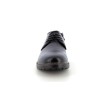 THEOPARA 41 46