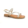 PATSON 36 41
