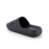 THEOMOL 36 41