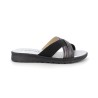 PATFON 36 41