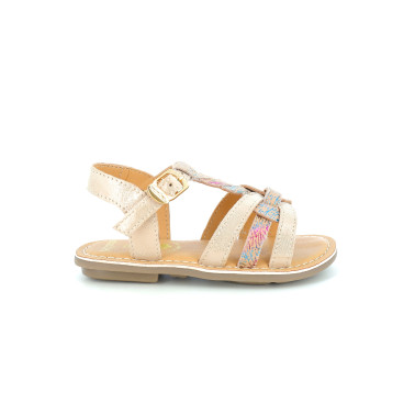 OEILLET 24 27