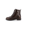 WENIEKER 25213 H21 36 41