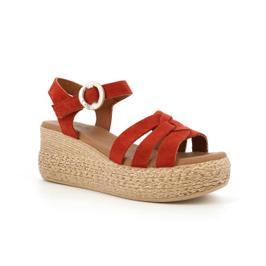 BULOTI 35 41