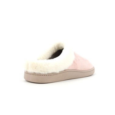 VENDANGE 36 41