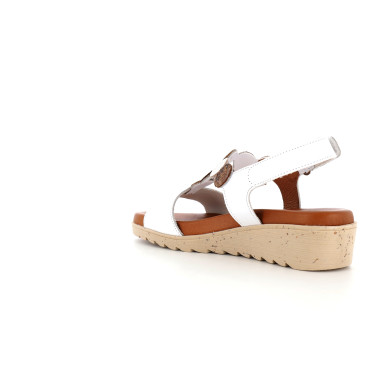 BUPASTO 35 41