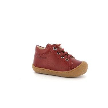 COCOON RED 19 23
