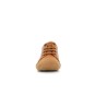 COCOON H22 17 23