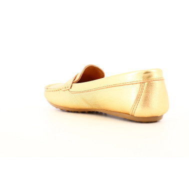 BENOU 36 41