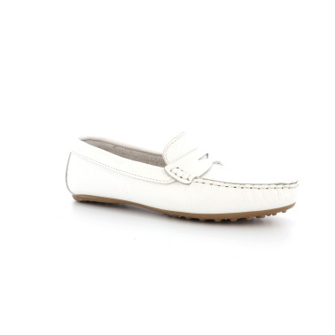 BENOU 36 41
