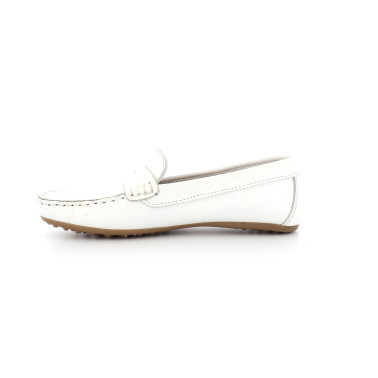 BENOU 36 41