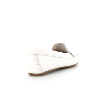 BENOU 36 41