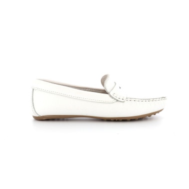 BENOU 36 41