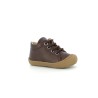 COCOON H23 18 23