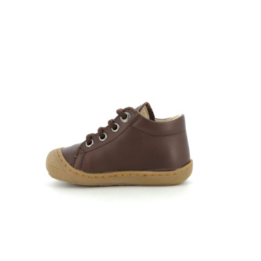 COCOON H23 18 23