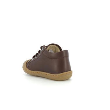 COCOON H23 18 23