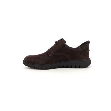 Chaussures Homme Marron Geox Flextride F Plus | Chaussures du Château