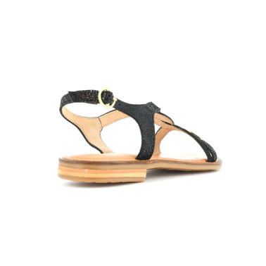 HASTRAL 36 41
